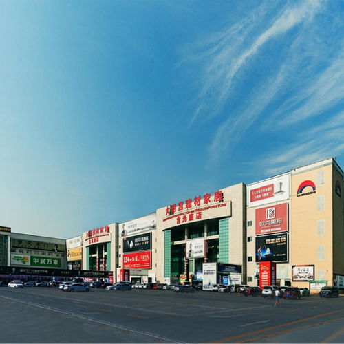 全力以赴，持續提升——大明宮建材家居的2024年終將不凡